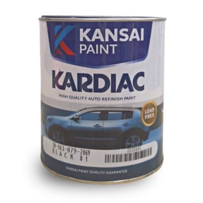 Cat Kardiac Kansai